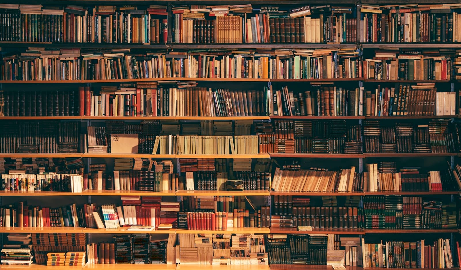 Librairie Le Rameau — Commerces