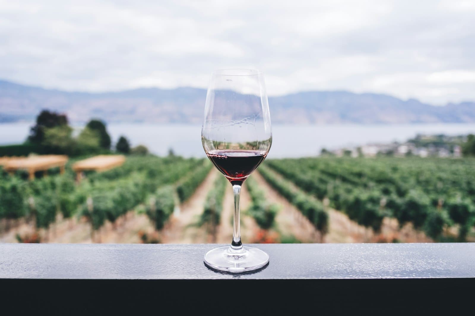 Un verre au-dessus des vignes